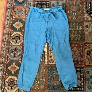 Blue LOFT pants